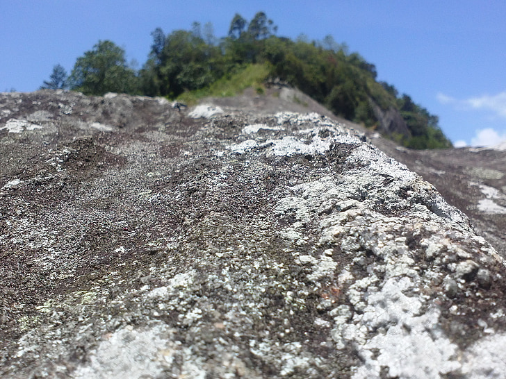 Rock, Sri lanka, grzyb na skale, krajobraz, bezdroża, dekoracje, naturalne