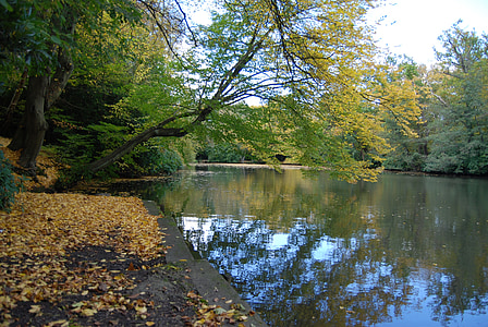 autumn, fall leaves, trees, lake, water, reflection, landscape