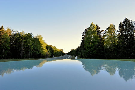 Зеркальное отображение, Крыша, автомобиль, Лак, Закат, лес, дерево
