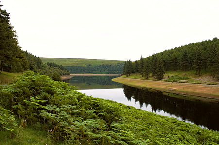 peak district, reservoir, howden reservoir, trees, calm, water, reflections