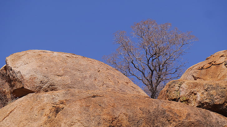botswana, rock, tree, than life artist, nature, rock - Object, outdoors