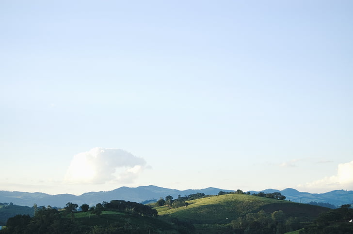 Foto, verde, campo, luoghi d'interesse, paesaggio, natura, albero