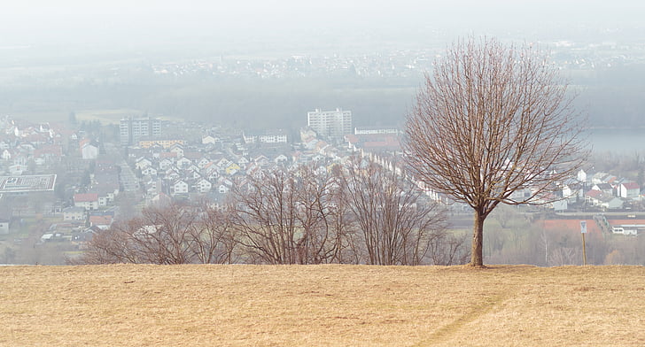 Rheintal, Michel-Berg, Karlsruhe, Blick, High-key, Übersicht, Hügel