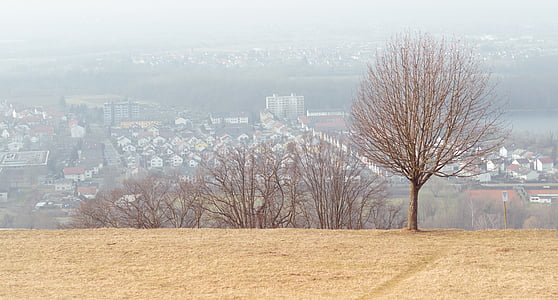 Ren Vadisi, Michel Dağı, Karlsruhe, Görünüm, yüksek anahtar, genel bakış, Hill