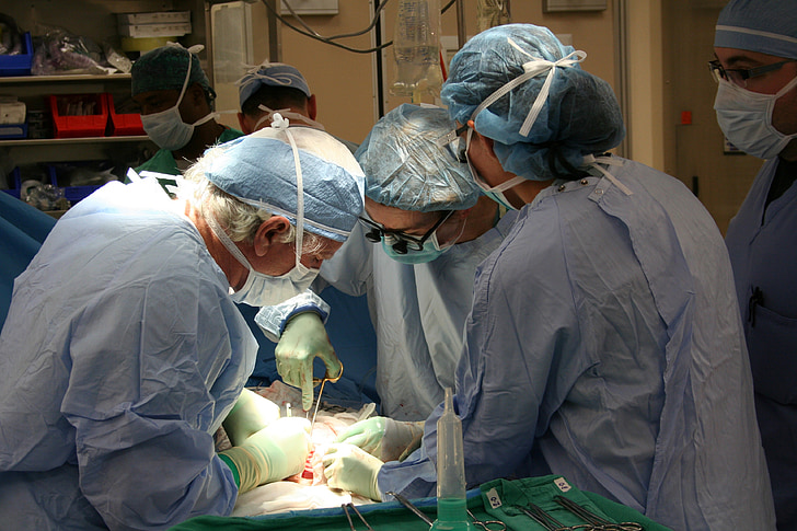 kirurgi, givare, transplantation