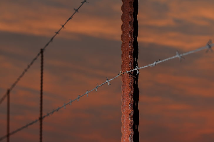 fence, barbed wire, fence post, rusty, sundown, sunset, barrier