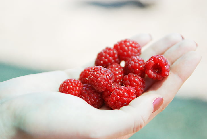 raspberry, berry, hand, color, vitamin, summer, strawberry