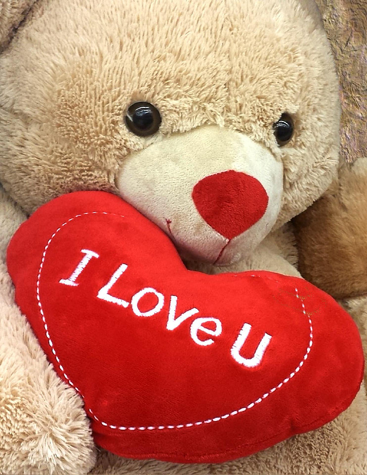 ľúbim ťa, láska, ste, srdce, červená, medveď, Medvedík