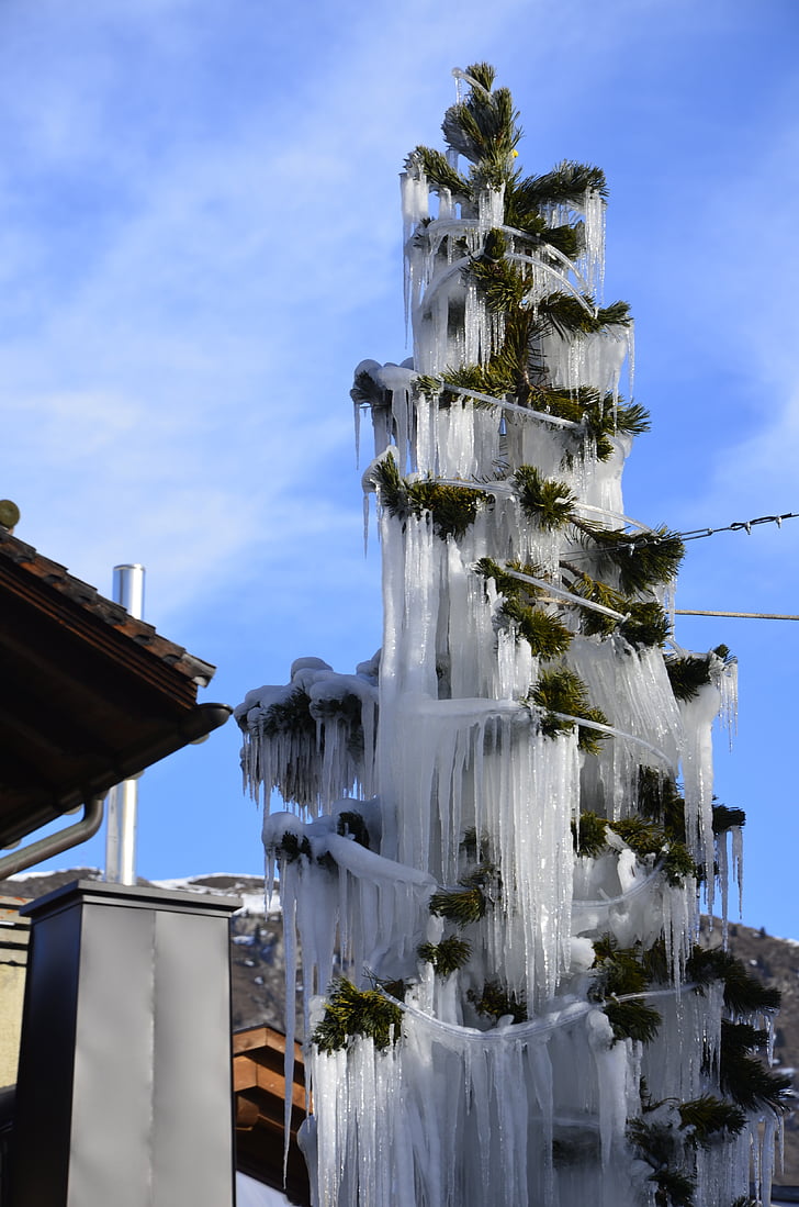 pohon Natal es, daun pohon Natal yang ditutupi dengan es, ais di es pohon Natal