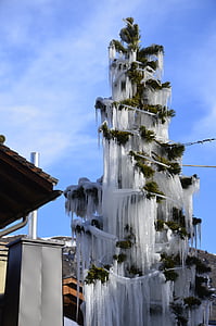 Bradul de Craciun gheata, pomul de Crăciun frunze acoperite cu gheaţă, gheaţă de pe Bradul de Craciun turturi