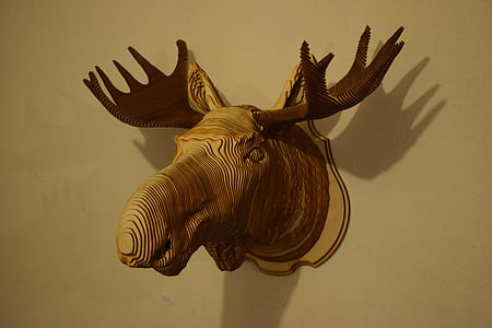 hoofd, eland, boom, dieren, muur, levende natuur, hedendaagse kunst