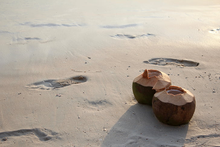 coconut, beach, holiday, exotic, summer, mediterranean, travel