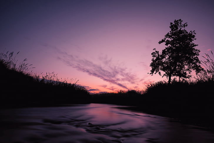 purple, orange, sky, river, grasses, nature, landscape