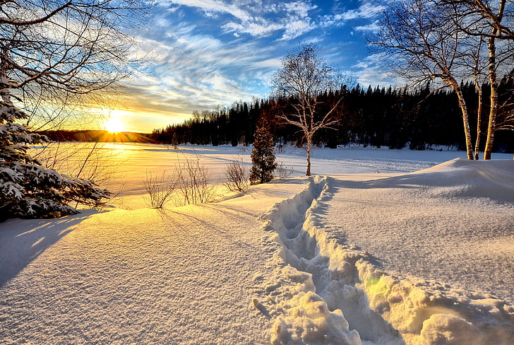 pejzaż zimowy, zachód słońca, zimno, śnieg, drzewa, Natura, biały