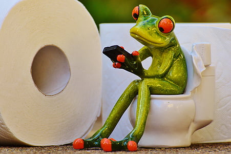 grenouille, toilette, Loo, session, drôle, papier hygiénique, WC