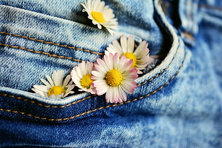 tasku, Daisy, teksad, lilled, tekstiil, Denim, tervitus