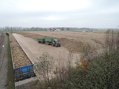 cukrinių runkelių, traktorius, derliaus, turto, dirbamos žemės, žemės ūkis, Innviertel