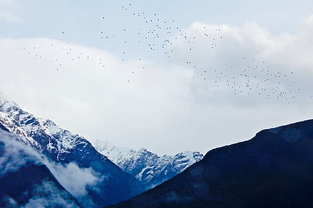 mountians, 空, 鳥, 雪, 風景, 山の風景, ロック