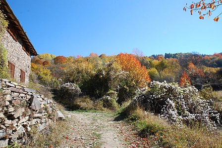 Bulgarija, rudenį, kraštovaizdžio, dykumoje, peizažas, natūralus, laukinių