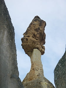 stone, rotten, mushroom