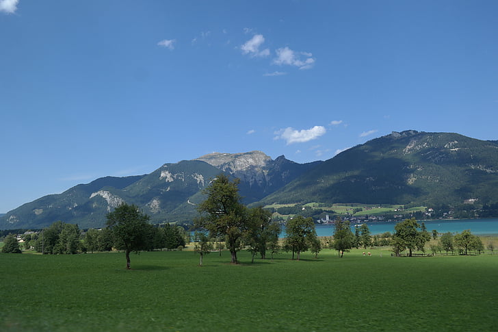 salzburg, lake wolfgang, meadow, mountains, trees
