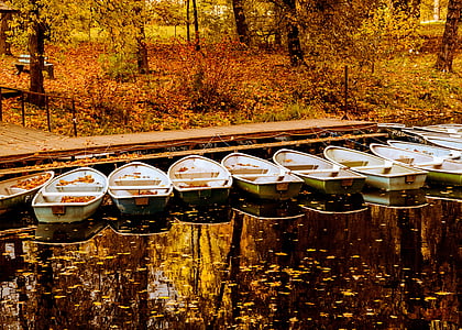 лодка, вода, отражение, листа, Есен, Есен, Открит