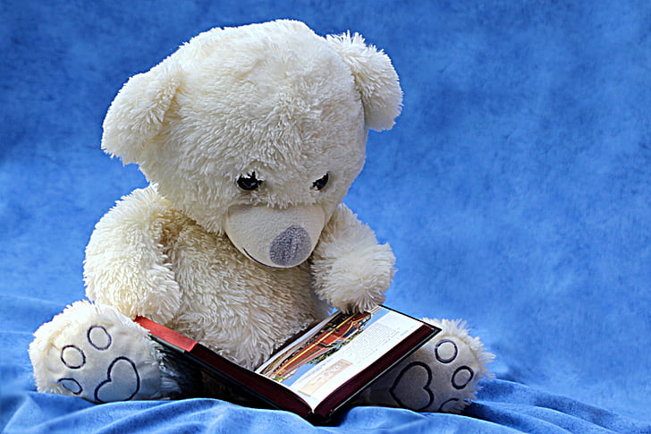zátišie, Teddy, biela, Prečítajte si, kniha, pozadí modrej, Medvedík