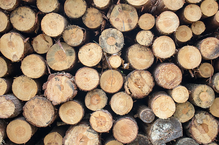 дървен материал, борови, Изрежи, подредени, тапети, кората, гора