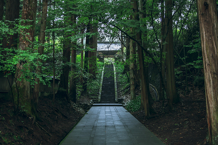 bessho onsen, quiet, natural, temple, forest, nature, tree