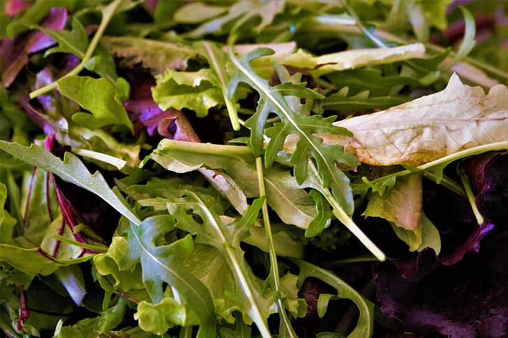 salata, jesti, zdrav, hrana, Frisch, svjetlo kost, ručak