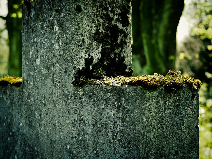kríž, Moss, kamenný kríž, staré, cintorín steny, cintorín, mystické