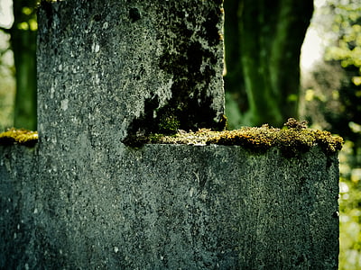 cross, moss, stone cross, old, cemetery wall, cemetery, mystical