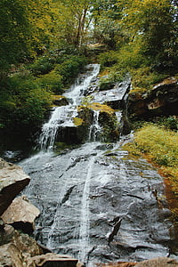 fotografie, cascade, pădure, în timpul zilei, se încadrează, apa, roci