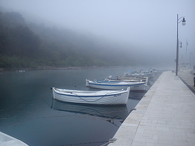 barci de pescuit, Novigrad, mare, ceaţă, pescuit, barca, port