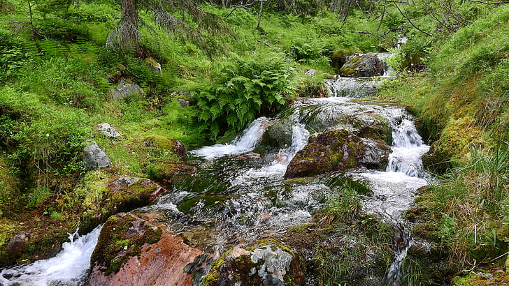 Stream, torrent, Creek, Mountain, Creek bed, flyder, trug