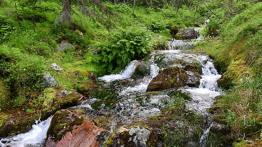 stream, torrent, creek, mountain, creek bed, flowing, trough