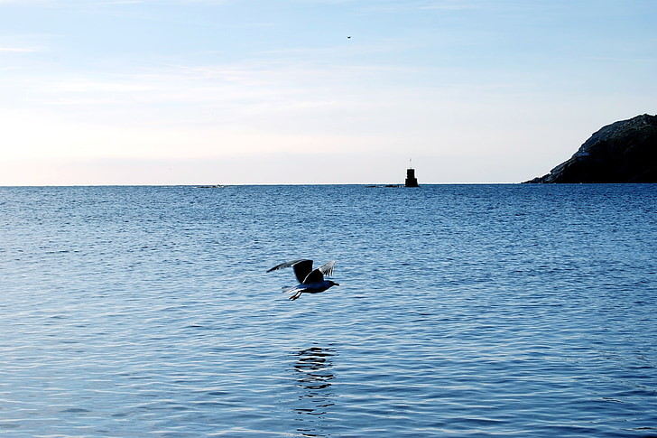 havet, Cadaqués, Sky, blå, Seagull, fluga, Lighthouse