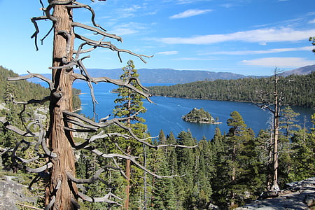 Bos-uitzicht, Lake tahoe, Emerald bay, water, Lake, eiland, landschap