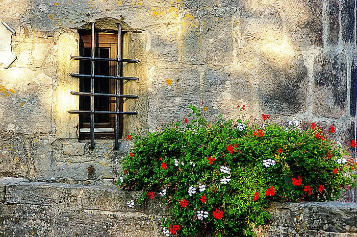 ventana, parrilla, pared, resistido, flores, Hauswand, arquitectura