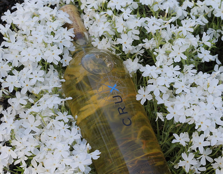 ziedi, vīns, pudele