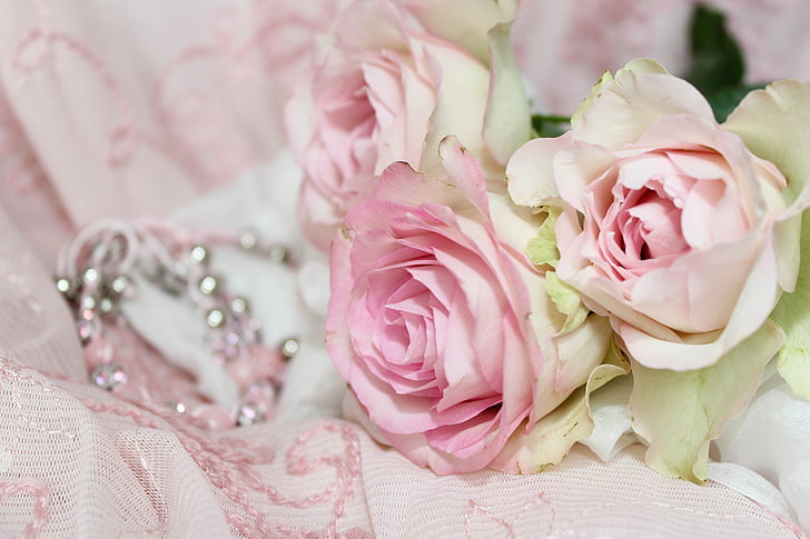 roses, jewellery, bracelet, background, playful, romantic, invitation
