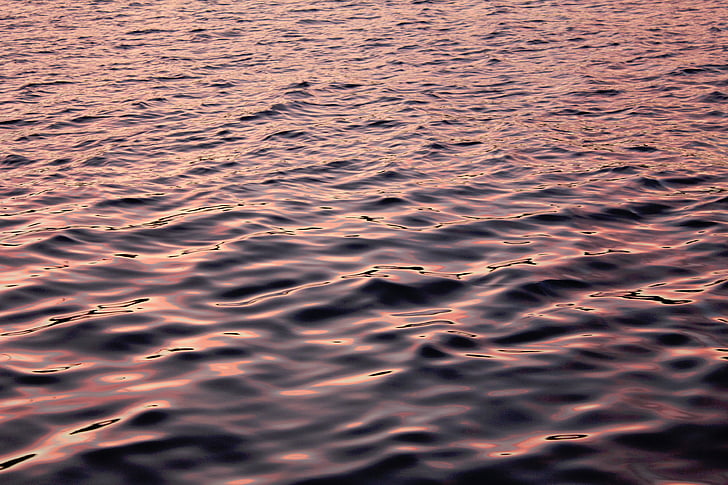 nước, tôi à?, Đại dương, Thiên nhiên, bơi lội, màu hồng, Bình minh