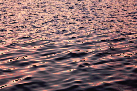 voda, Já?, oceán, Příroda, plavání, růžová, Dawn