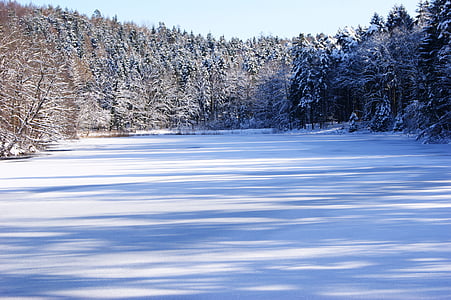 Lacul, iarna, copaci, zăpadă, cer, albastru, congelate
