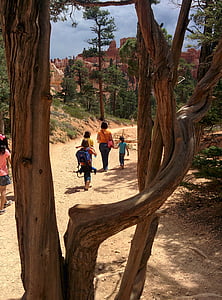 Bryce kanjonas, vaizdingas, nacionalinės, kelionės, Juta, parkas, Jungtinės Amerikos Valstijos