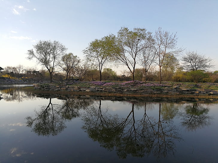 spring, lake, reflection, tree, nature