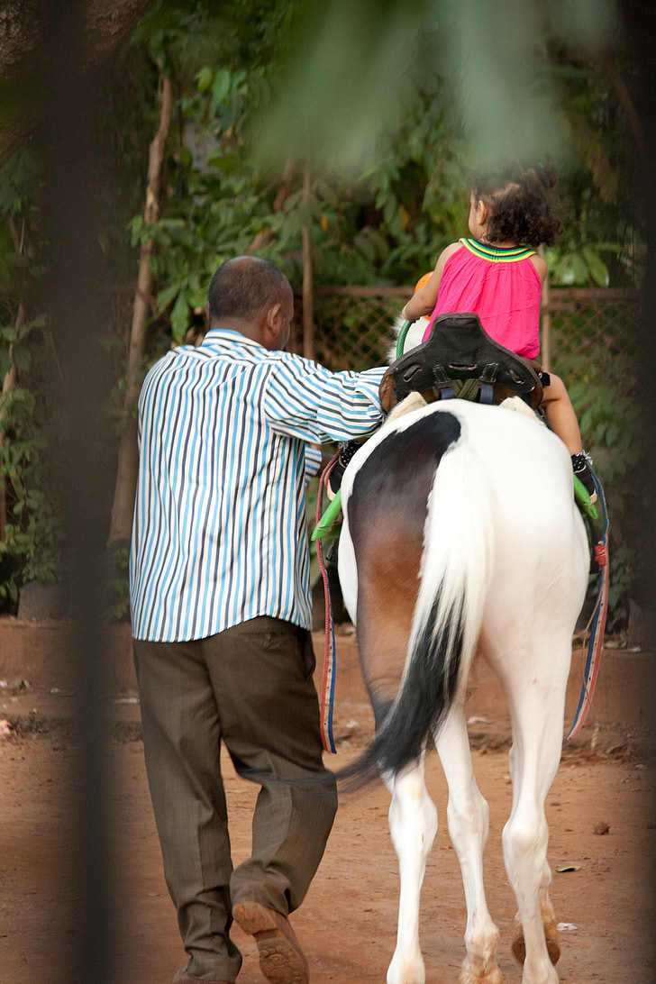 horse, child, riding, equestrian, girl, horseback riding, equine
