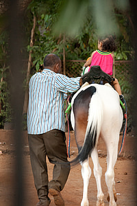 cheval, enfant, Circ., équitation aux Jeux, jeune fille, Centre Equestre, équins