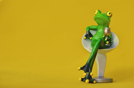 frog, chair, cozy, drink, wine, soaked, cute