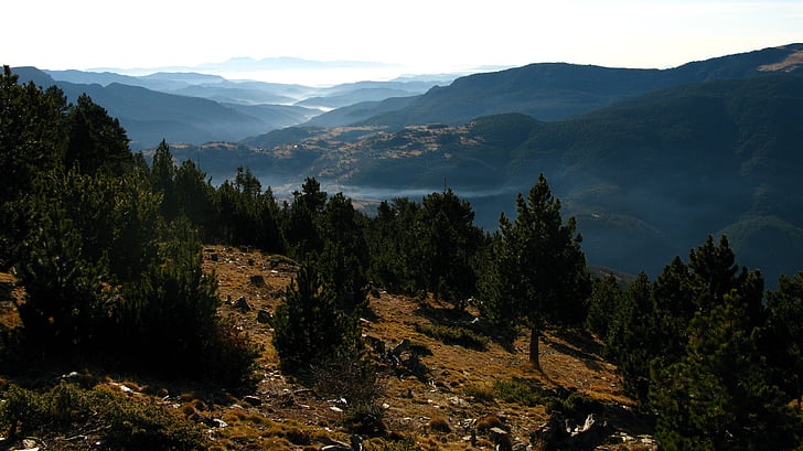 doğa, dağ, manzara, Firs, Katalanca pyrenees, Orman, bakış